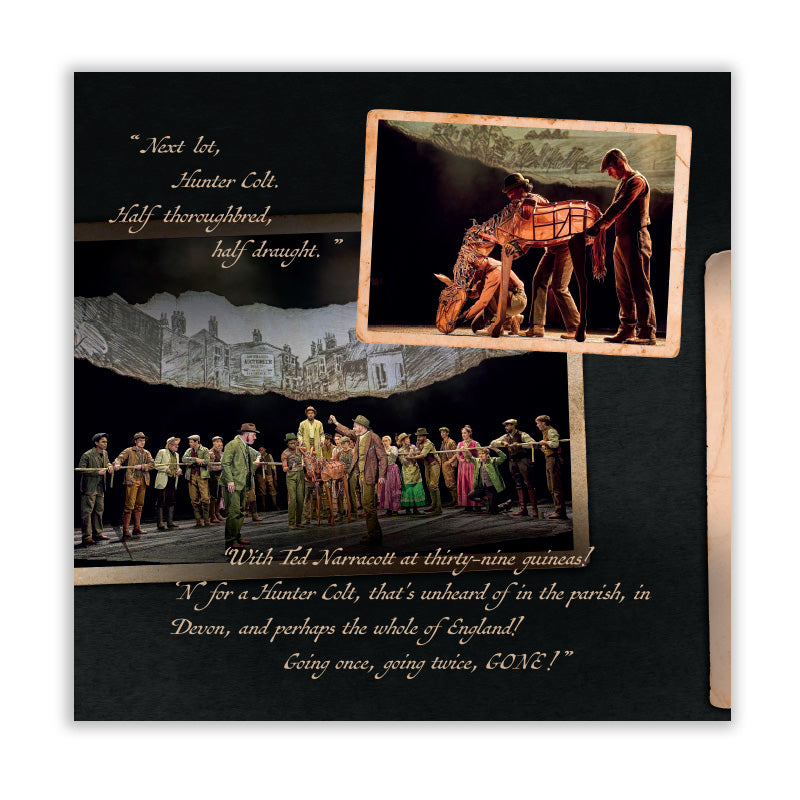 War Horse Souvenir Programme